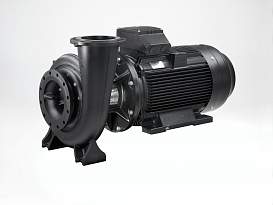 КОНСОЛЬНО-МОНОБЛОЧНЫЙ НАСОС GRUNDFOS NB125-400/384 A-F2-A-GQQE